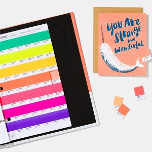 Pantone Pastels & Neons Chips Book